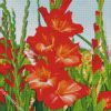 gladiolus Guinea diamond paintings