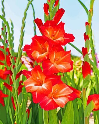 gladiolus Guinea diamond painting