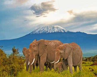 kenya amboseli Elephants diamond paintings