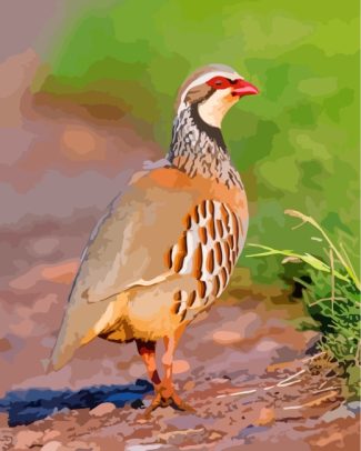 lonely partridge bird diamond paintings