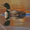 loon in the water diamond paintings