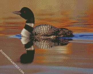 loon in the water diamond paintings