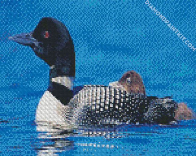 loons bird diamond paintings