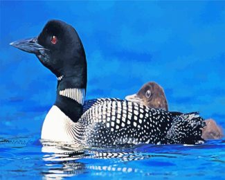 loons bird diamond painting