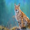 lynx animal diamond painting