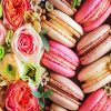 macaroons and flowers diamond paintings