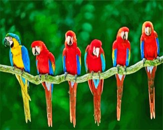 macaw birds diamond painting