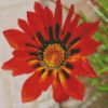 oraneg Gazania flower diamond paintings