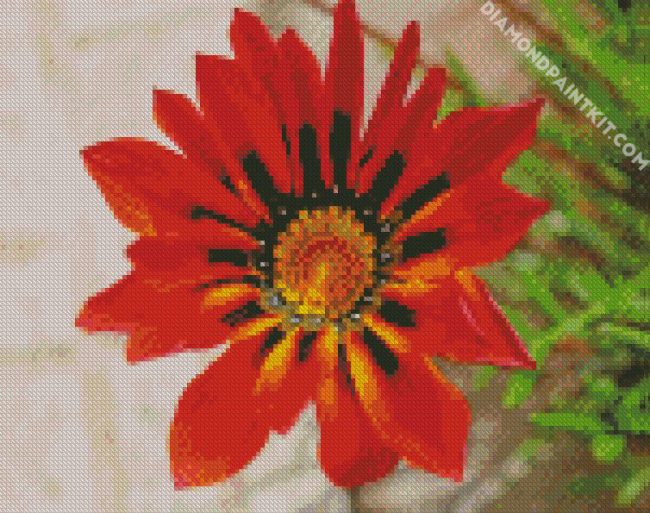 oraneg Gazania flower diamond paintings