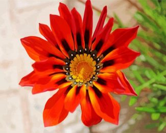 oraneg Gazania flower diamond painting