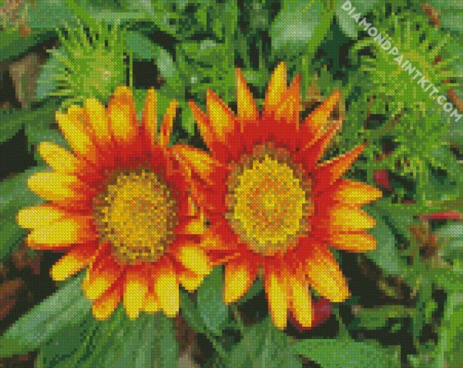 orange Gazania diamond paintings