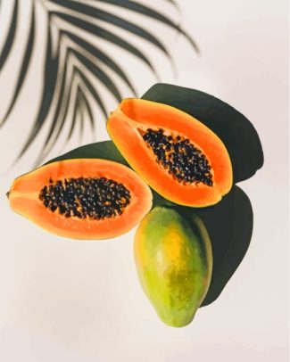 papaya fruit diamond paintings