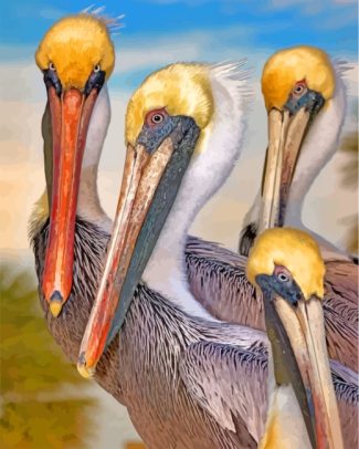 pelicans birds diamond paintings