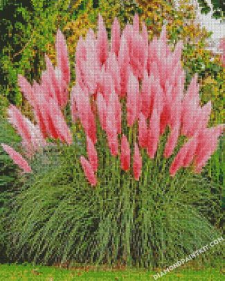 pink Pampas diamond paintings