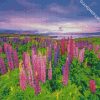 purle and pink Lupins diamond paintings