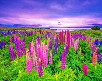 purle and pink Lupins diamond painting