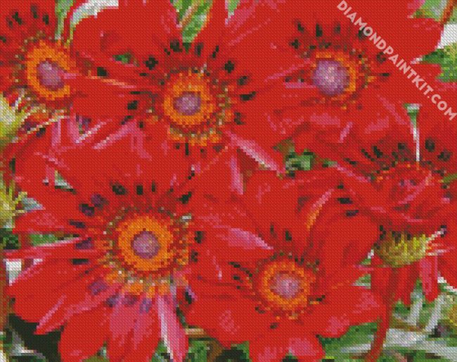 red Gazanias diamond paintings