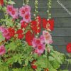 red and pink hollyhocks flowers diamond paintings