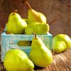 vintage pears diamond painting