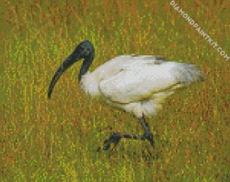 white Ibis diamond paintings