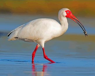 white Ibis in the water diamond painting