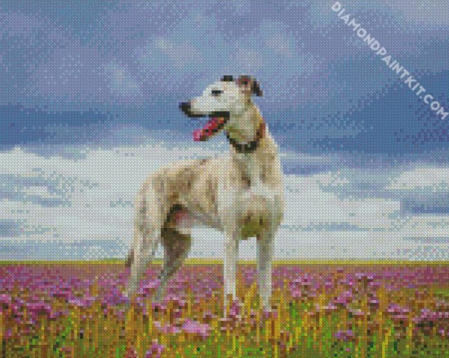 white Lurcher diamond paintings