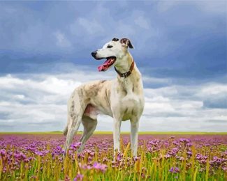 white Lurcher diamond paintings