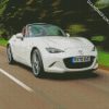 white Mx5 diamond paintings