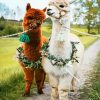 white an dbrown llamas diamond paintings