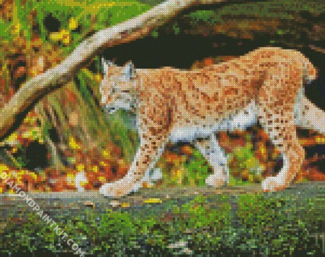 wild LYNX diamond paintings