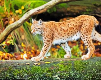 wild LYNX diamond painting