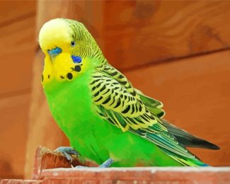 yellow and green parakeet bird diamond painting