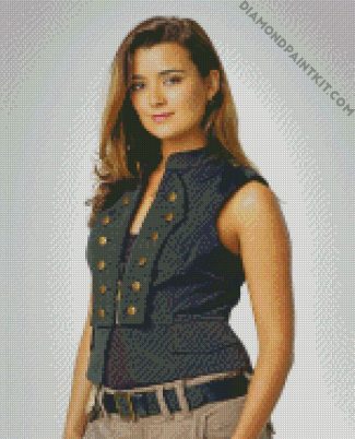 ziva NCIS diamond paintings