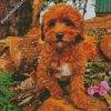 Cavoodle Puppy diamond painting