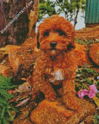 Cavoodle Puppy diamond painting