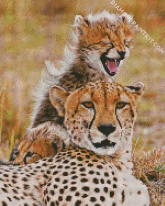 Cheetah And Young Cub diamond painting