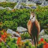 Tatra Chamois diamond painting