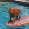 Cavapoo Swimming Pool diamond painting