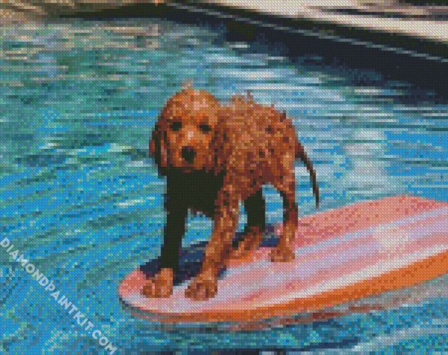 Cavapoo Swimming Pool diamond painting