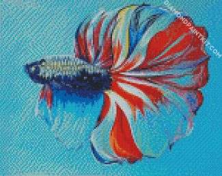 Betta Siamese Fish diamond painting