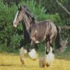 Black Shire Horse Diamond Painting