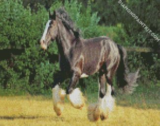 Black Shire Horse Diamond Painting