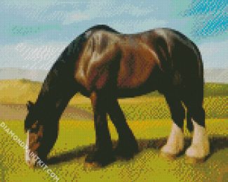 Black White Shire Horse diamond painting