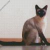 Cute Siamese Cat diamond painting