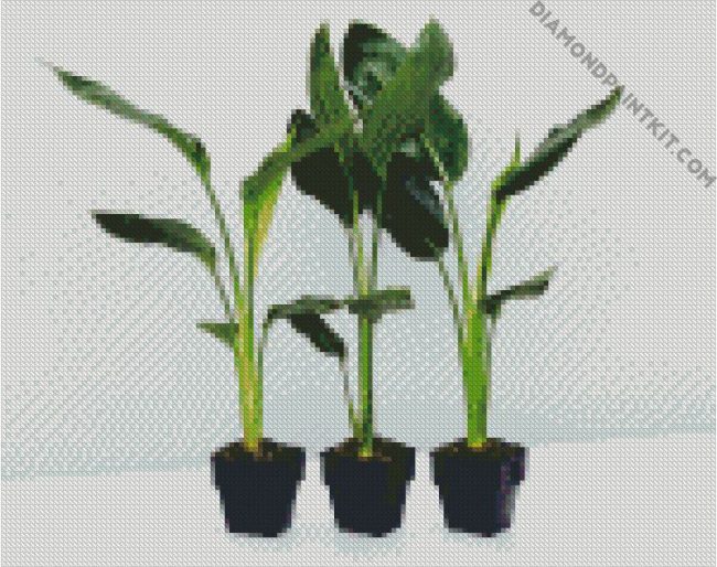 Green Strelitzia Plantpots diamond painting