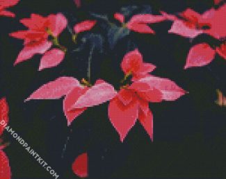 Pink Poinsettia Plants diamond painting