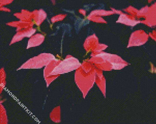 Pink Poinsettia Plants diamond painting