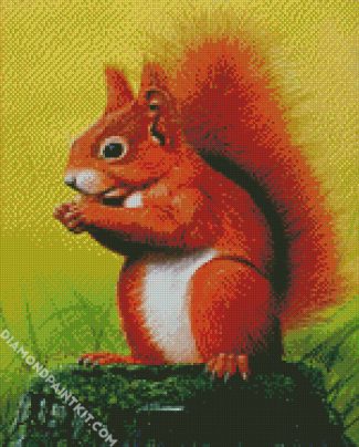 Red Squirrel diamond painting