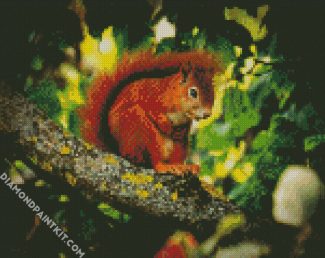 Red Squirrel On Tree diamond painting