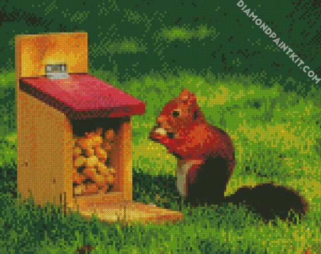 Squirrel Eating diamond painting